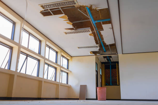 Best Local water damage restoration  in Ford City, PA