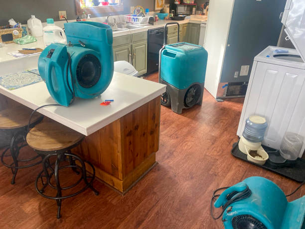 Best Flood damage cleanup  in Ford City, PA