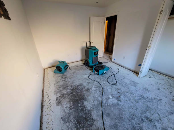 Best Mold removal after water damage  in Ford City, PA
