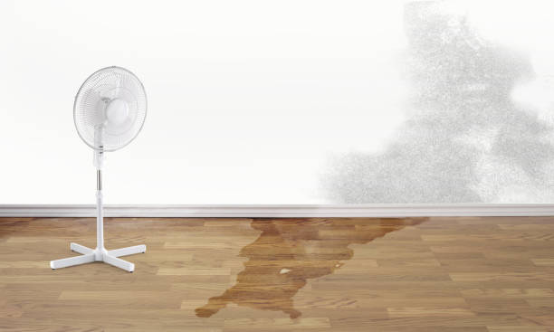 Best Residential water damage restoration  in Ford City, PA