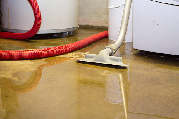 Best Water damage cleanup near me  in Ford City, PA
