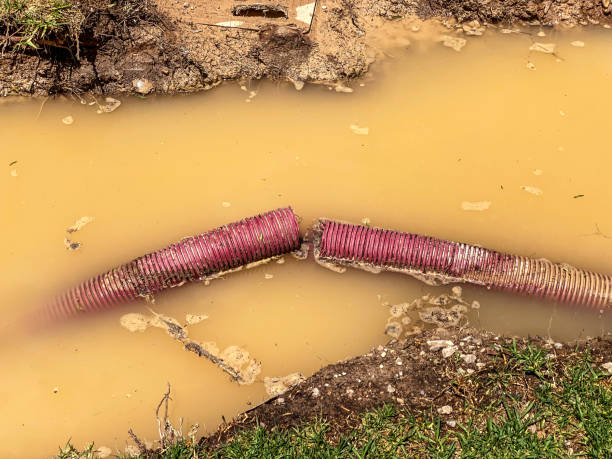 Best Basement water damage restoration  in Ford City, PA